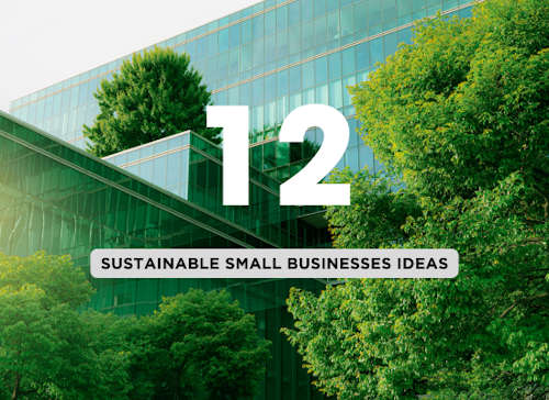 Top 12 Sustainable Business Ideas for Aspiring Entrepreneurs