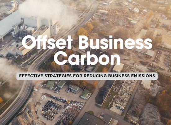 Carbon Smart: 8 Steps for Small Businesses to Offset Emissions