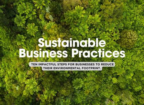 Top 10 Ways Businesses Can Move Toward Sustainability