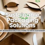 Revolutionizing Niche Markets with Biodegradable Packaging